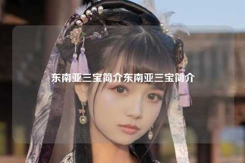 东南亚三宝简介